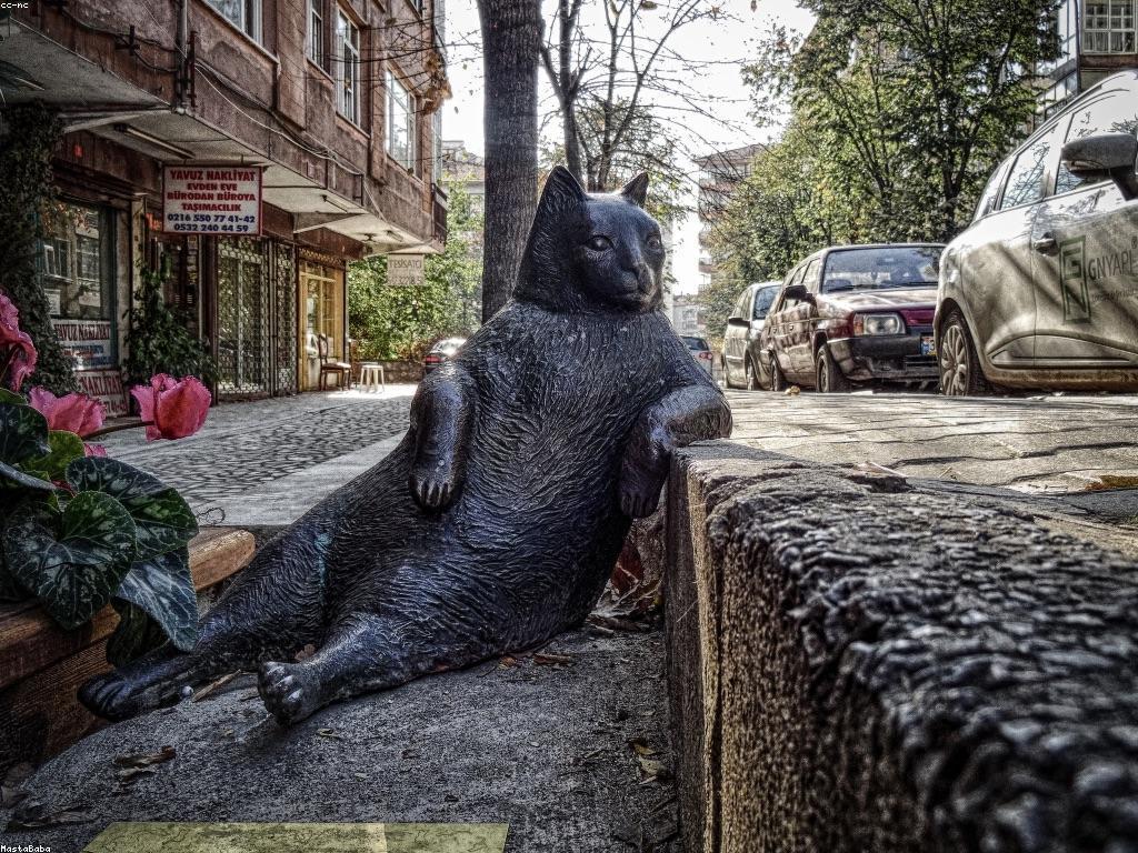 ជម្រើសបច្ចេកទេសវិភាគទិន្នន័យសម្រាប់អ្នកសិក្សា