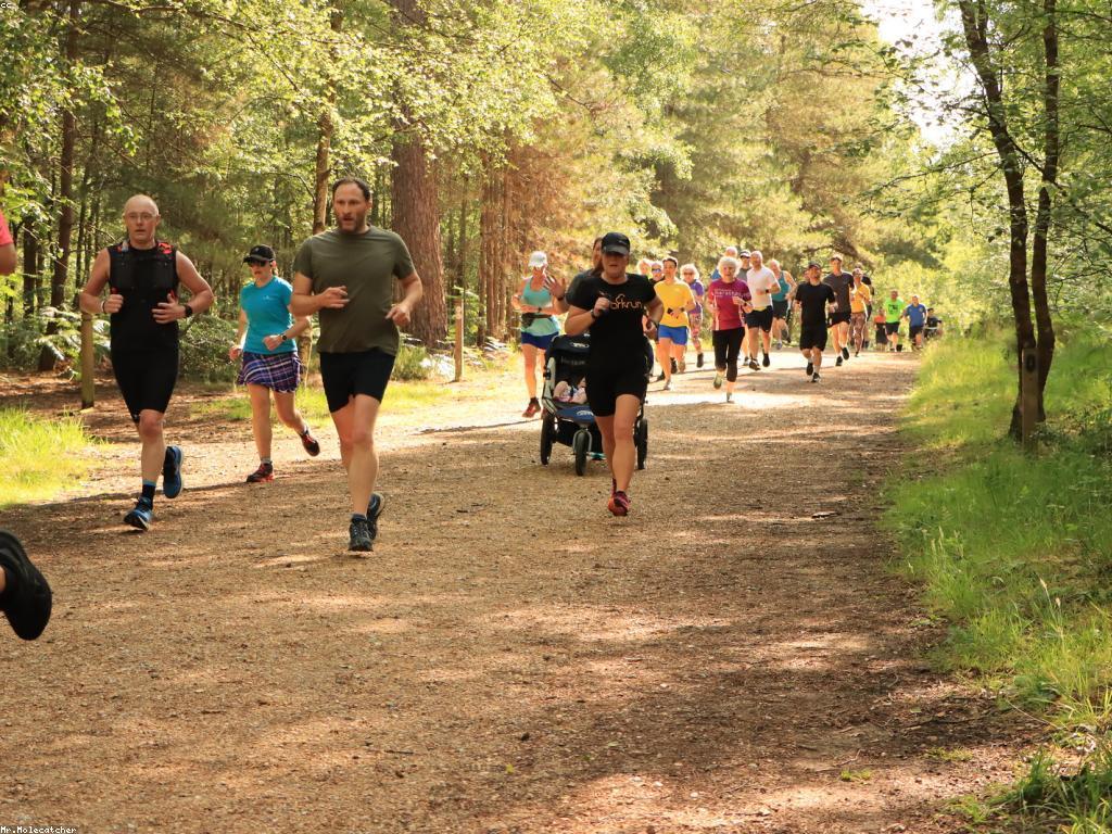 សារៈសំខាន់នៃព្រឹត្តិការណ៍ និង សកម្មភាពក្នុងវប្បធម៌